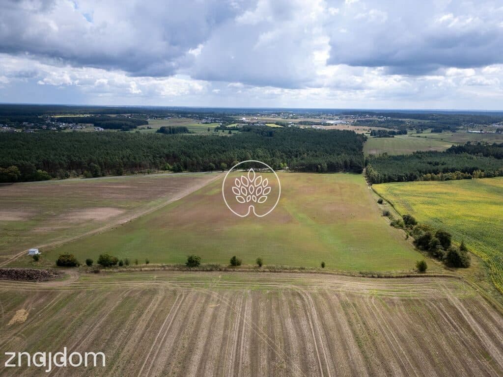 5 ha TERENU INWESTYCYJNEGO | DĄBRÓWKA NOWA | S10 - zdjęcie 4