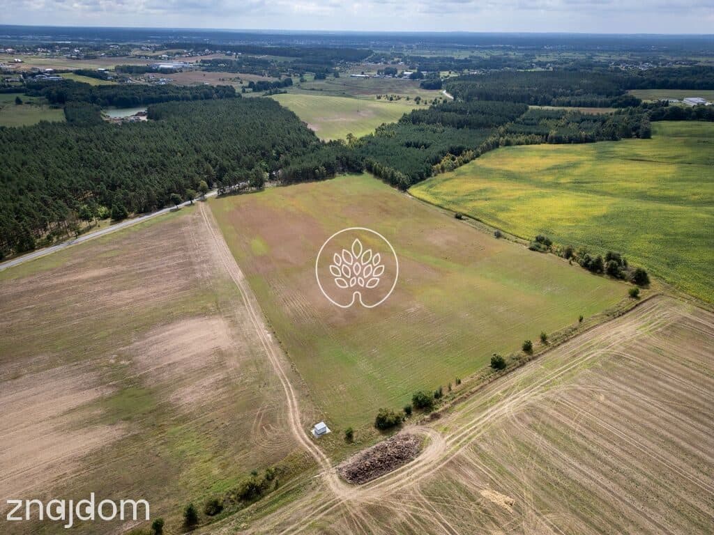 5 ha TERENU INWESTYCYJNEGO | DĄBRÓWKA NOWA | S10 - zdjęcie 5