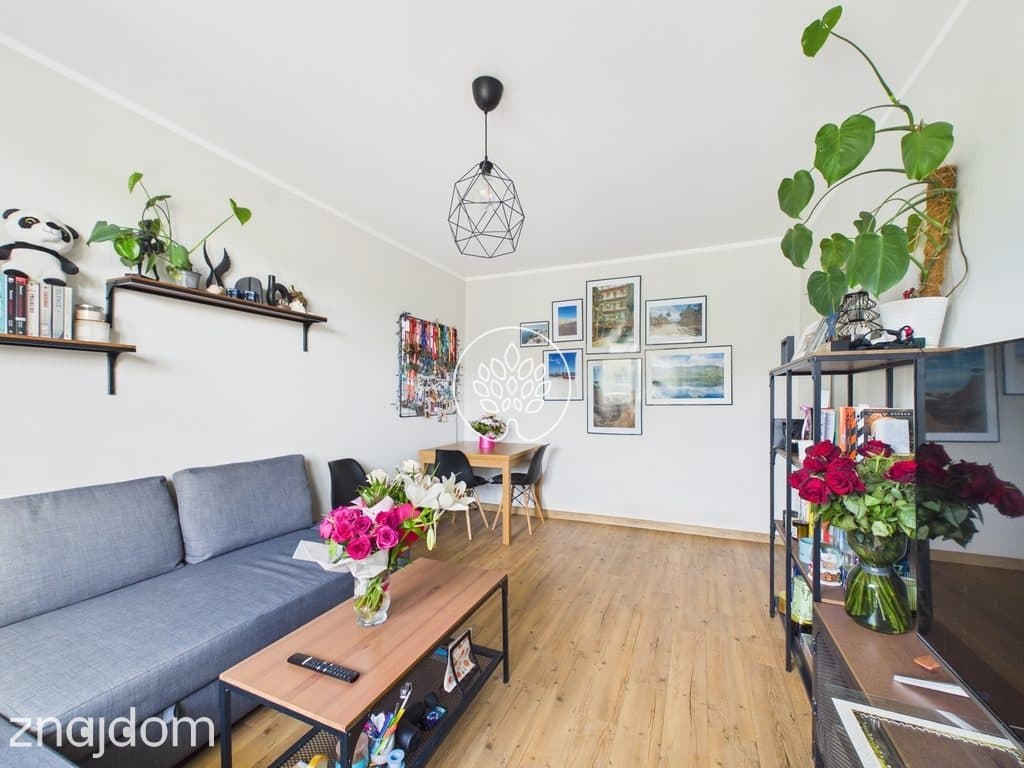 Śliwińskiego 47m² 3 pokoje osobna kuchnia 439k - zdjęcie 4