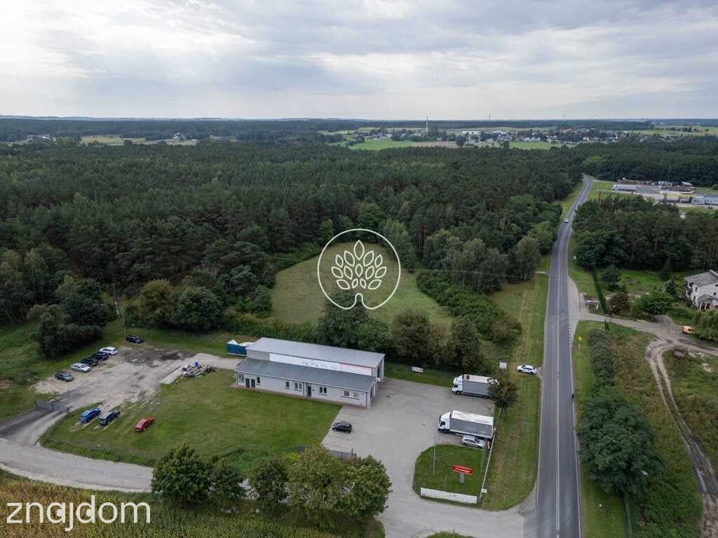Działki inwestycyjne 11 900+ m² | Kowalewo, Szubin - zdjęcie 4