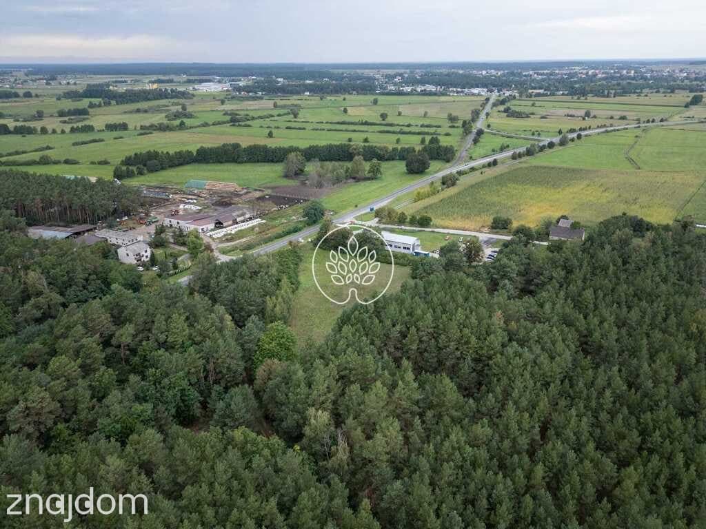 Działki inwestycyjne 11 900+ m² | Kowalewo, Szubin - zdjęcie 9