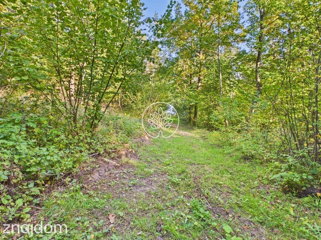 1500 m² | WZ | Linia brzegowa - zdjęcie 11