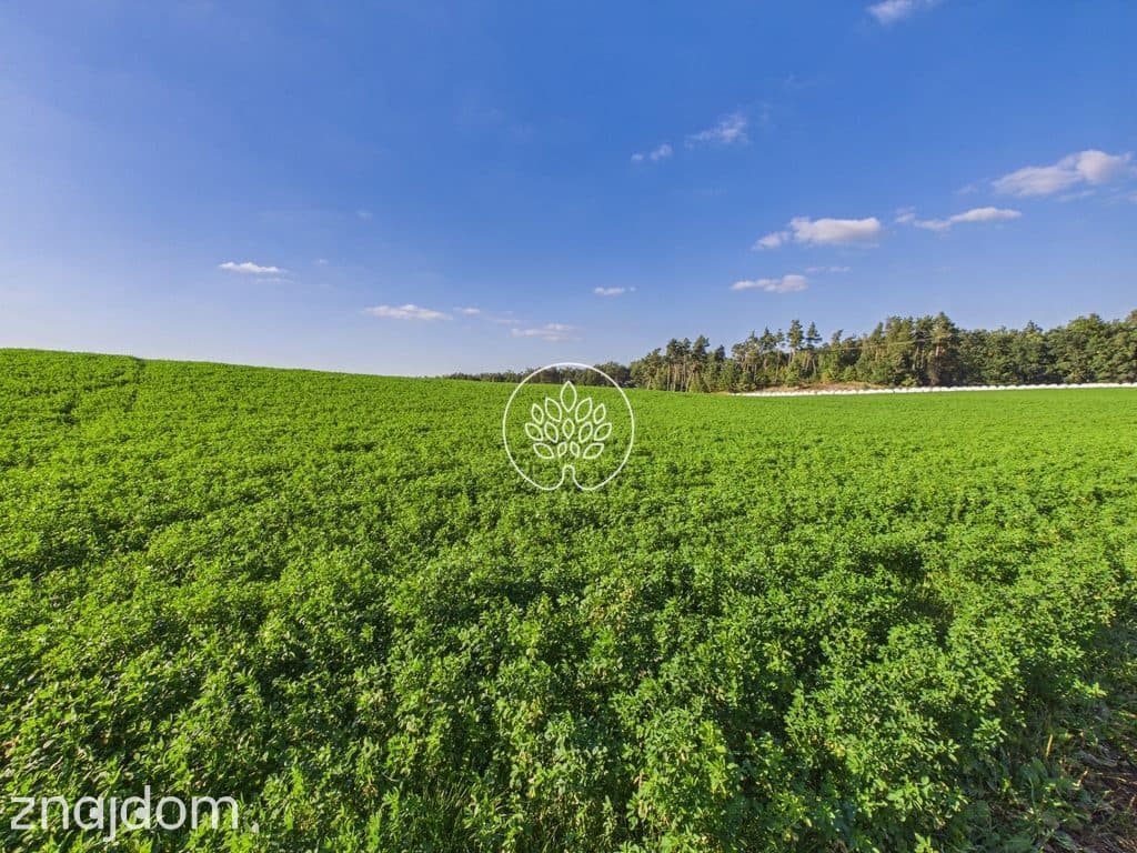 1500 m² | WZ | Linia brzegowa - zdjęcie 13