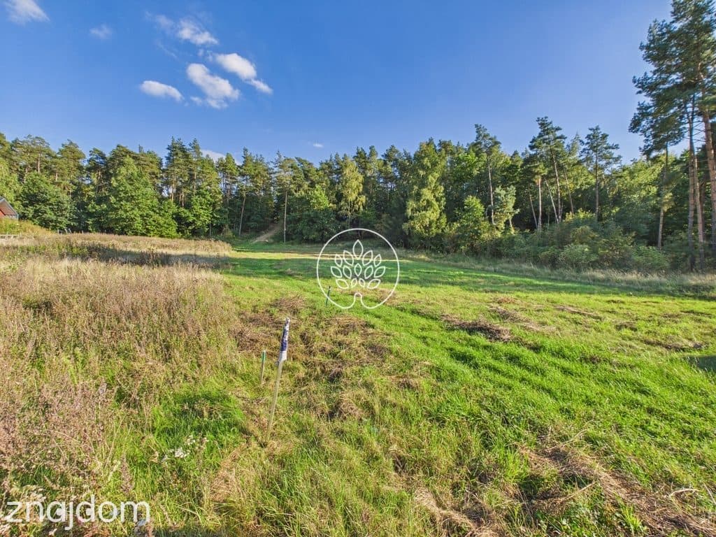 1500 m² | WZ | Linia brzegowa - zdjęcie 15