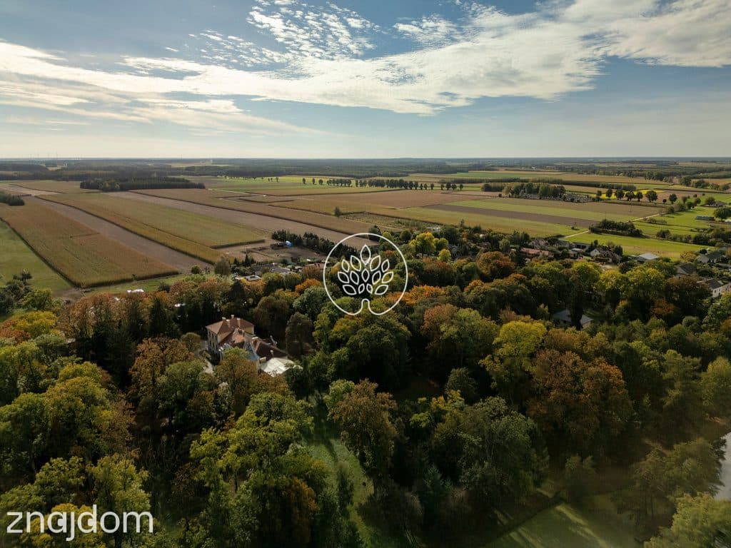 Zabytkowy Pałac / 7,4 ha parku / prywatny staw - zdjęcie 9