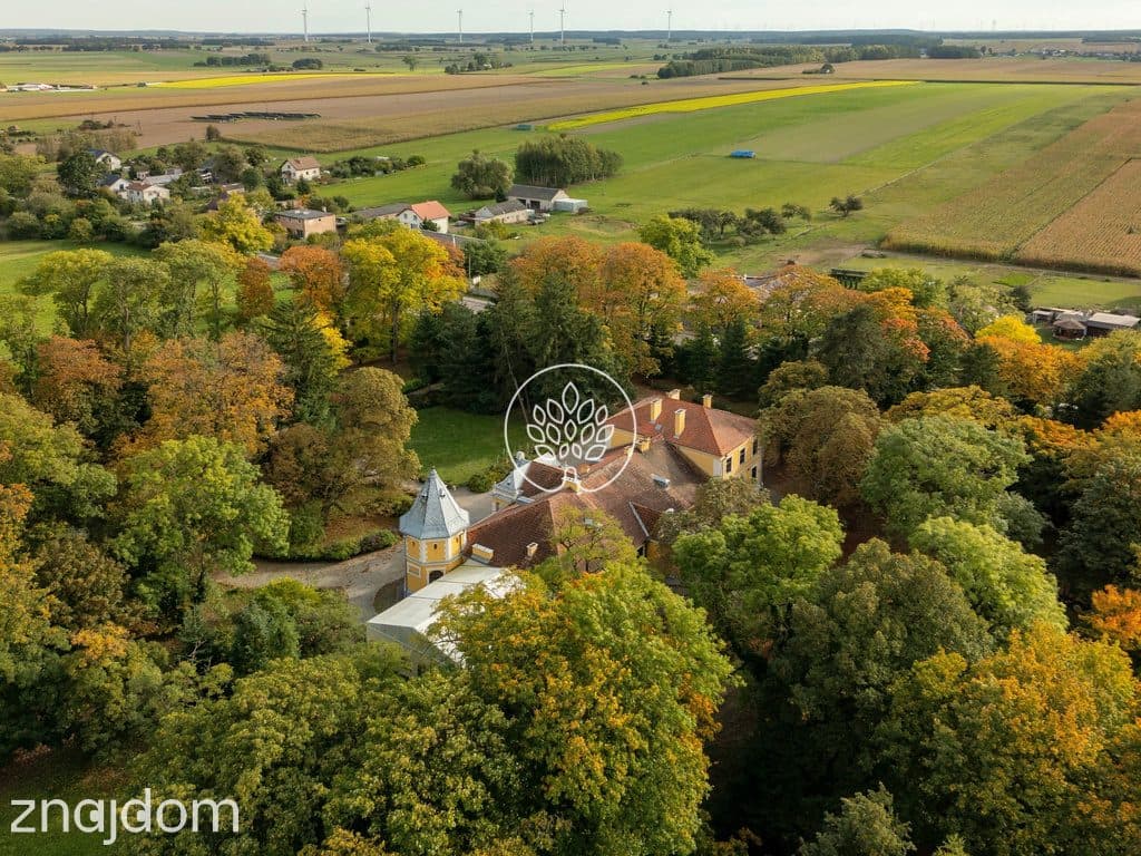 Zabytkowy Pałac / 7,4 ha parku / prywatny staw - zdjęcie 13
