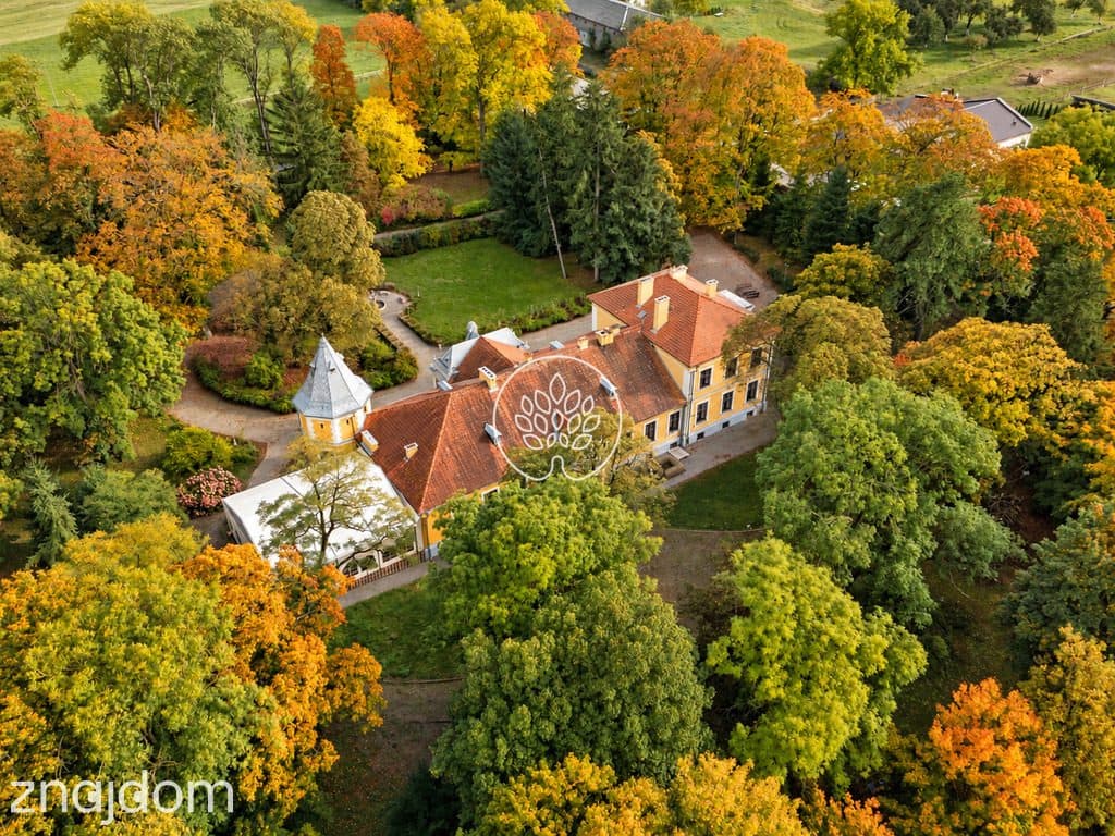 Zabytkowy Pałac / 7,4 ha parku / prywatny staw - zdjęcie 6