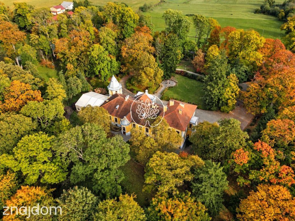 Zabytkowy Pałac / 7,4 ha parku / prywatny staw - zdjęcie 7