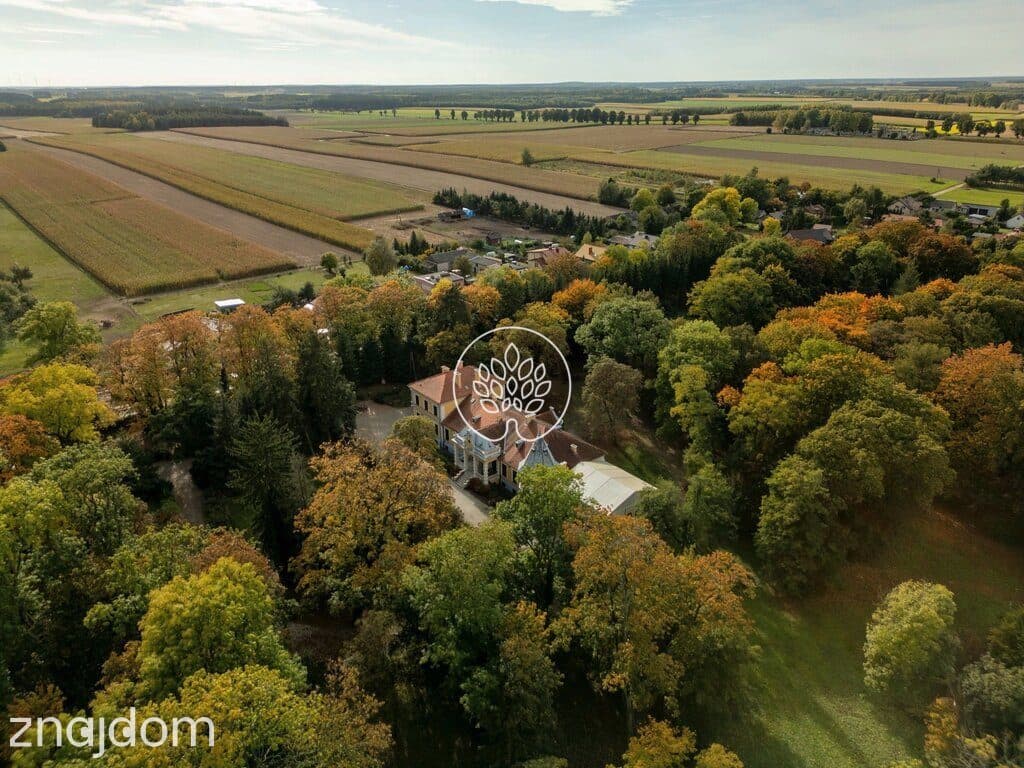 Zabytkowy Pałac / 7,4 ha parku / prywatny staw - zdjęcie 8