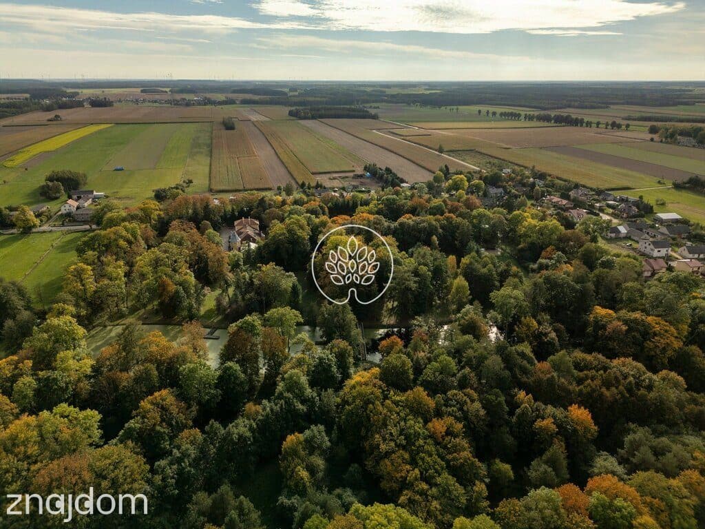 Zabytkowy Pałac / 7,4 ha parku / prywatny staw - zdjęcie 11