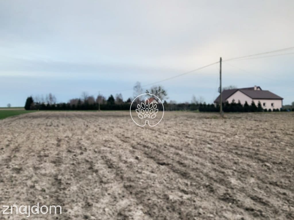 działka 1431m2 z warunkami zabudowy + 2481m2 rolna - zdjęcie 2