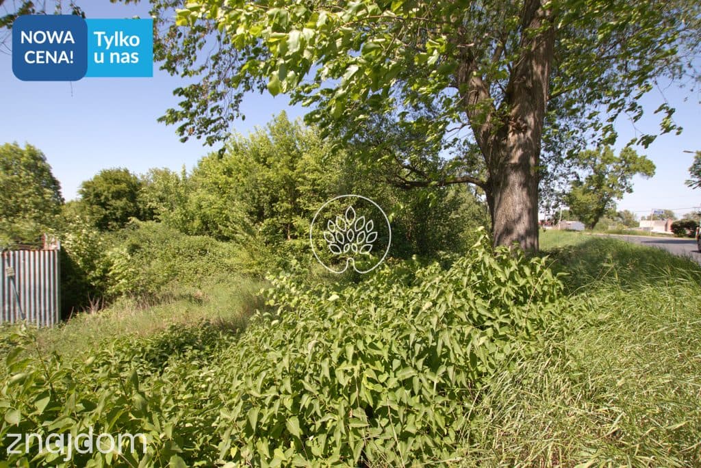 Dobrze skomunikowana działka ul. Toruńska Łęgnowo - zdjęcie 2