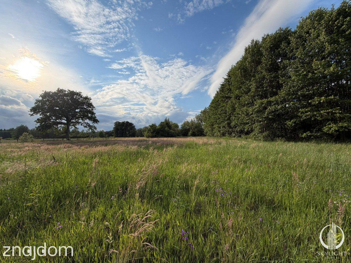 Działka budowlana 3252 m² z warunkami zabudowy - zdjęcie 2