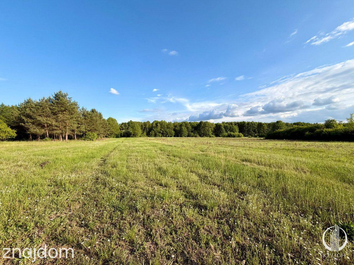 Działka budowlana 3252 m² z warunkami zabudowy