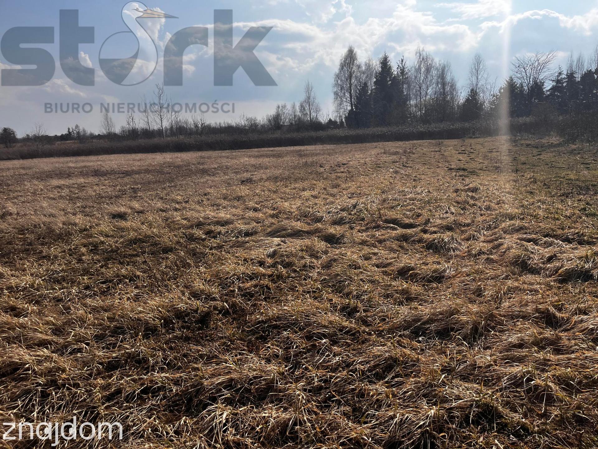 Działki z MPZP 9MN/U w połowie drogi z Teresina do Błonia - zdjęcie 7