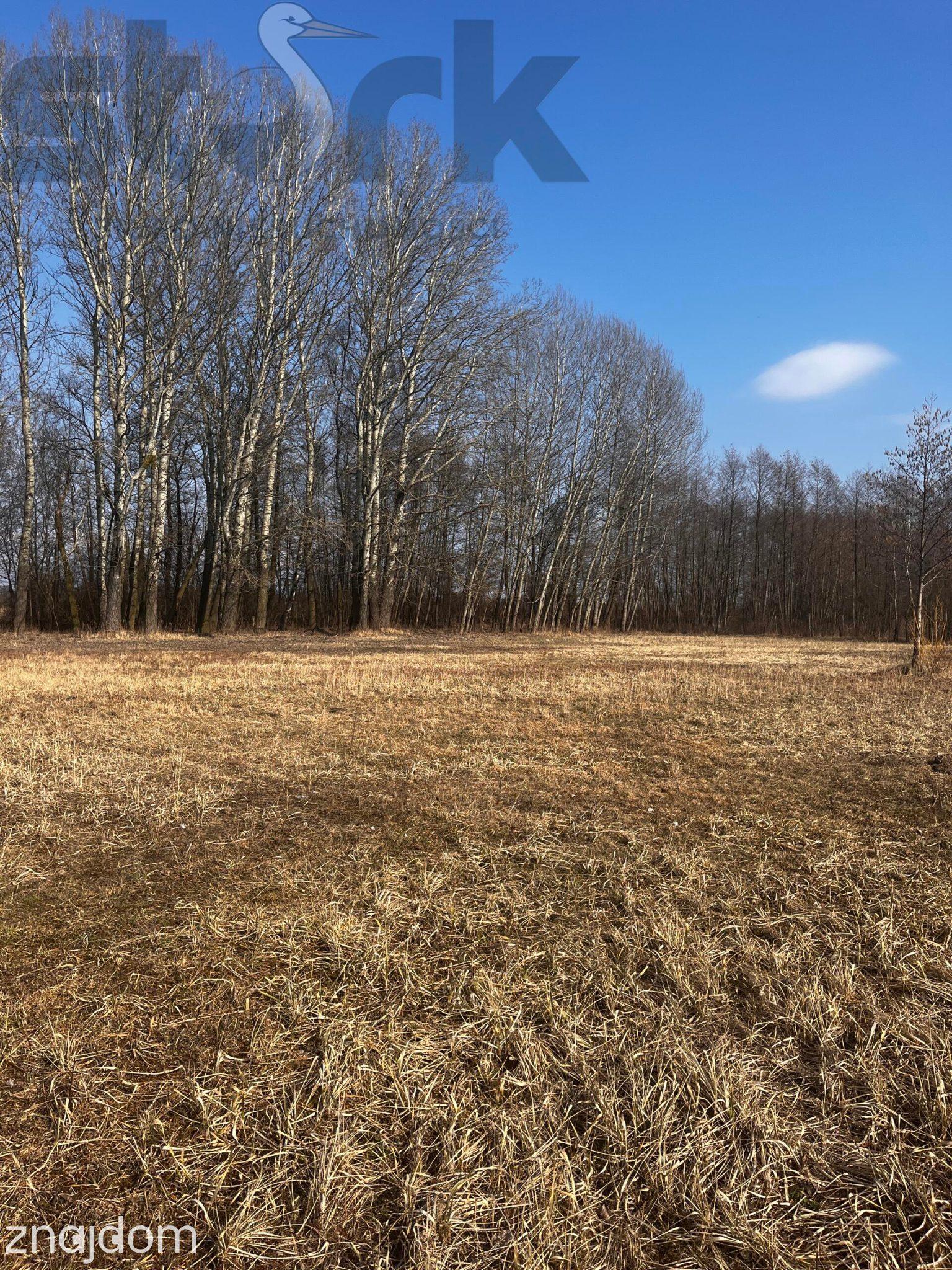 Działki z MPZP 9MN/U w połowie drogi z Teresina do Błonia - zdjęcie 8