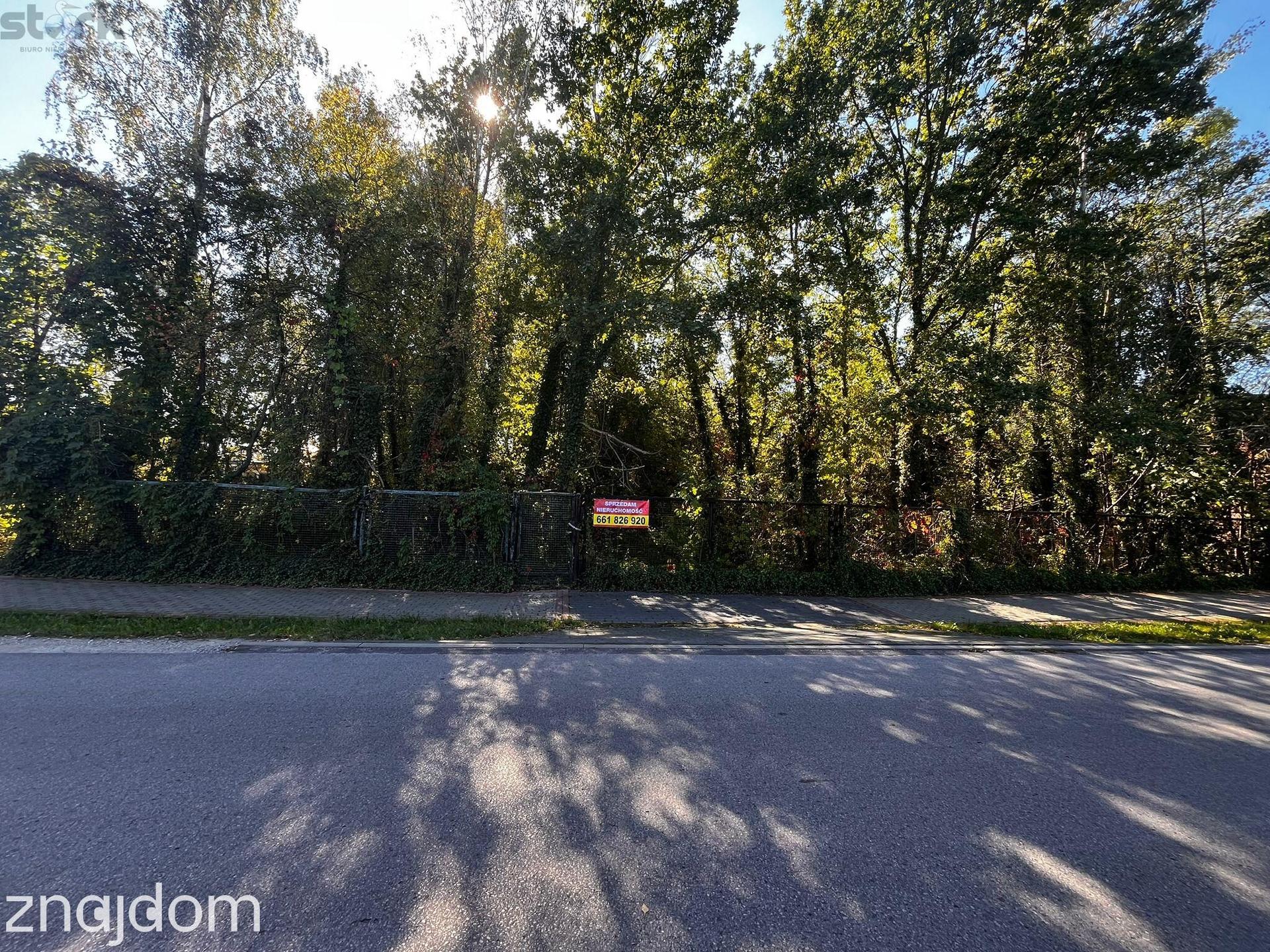 Działka 2376 m z MPZP - Międzyborów media. - zdjęcie 8