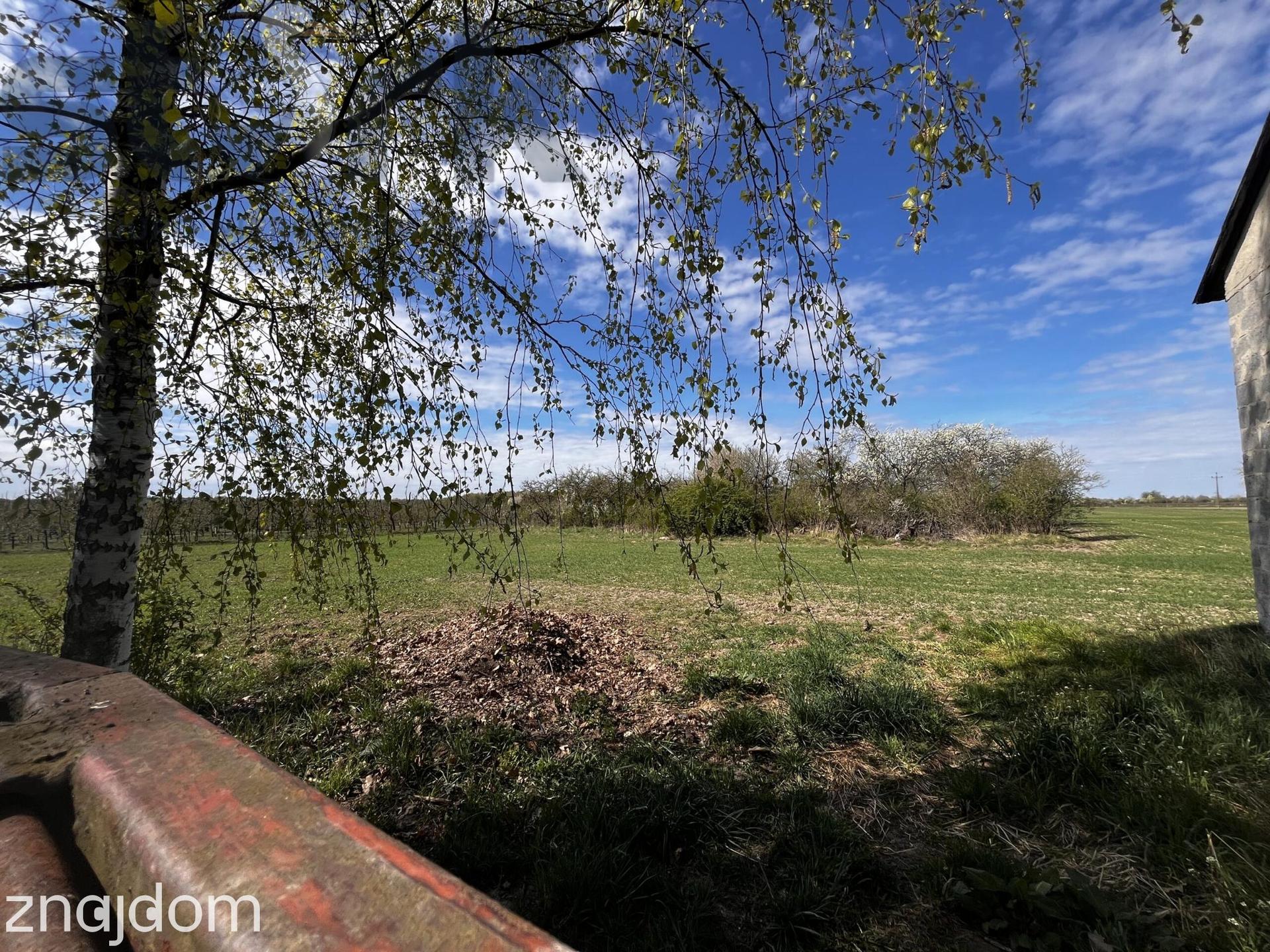 Gospodarstwo/siedlisko /6,5 ha 14 km od Mszczonowa prowizja 0% od kup - zdjęcie 11