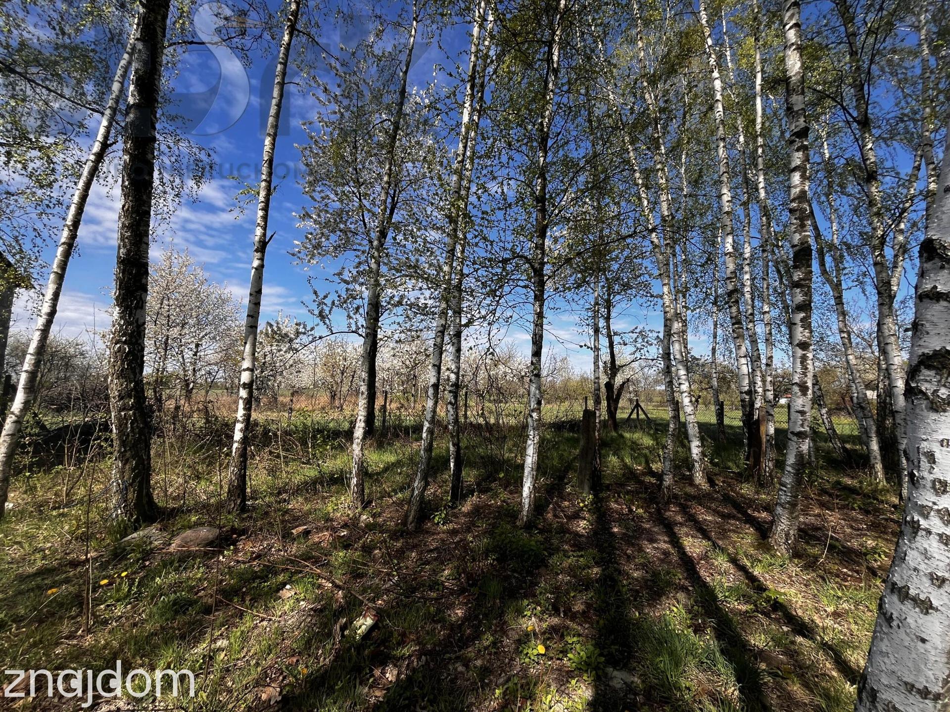 Gospodarstwo/siedlisko /6,5 ha 14 km od Mszczonowa prowizja 0% od kup - zdjęcie 14