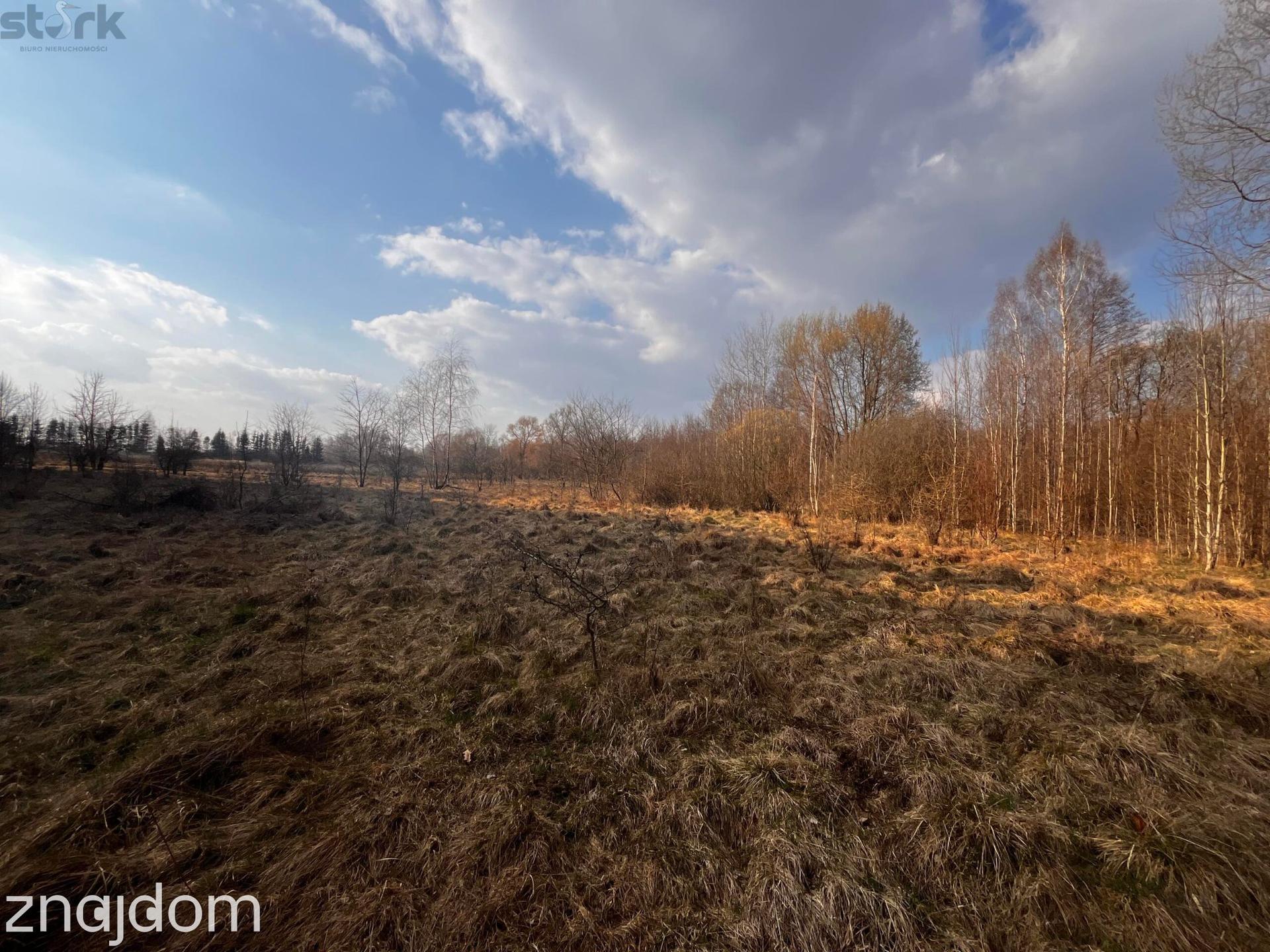 Teren inwestycyjny 4,26 ha MPZP -1PU ok.Mszczonów - zdjęcie 14