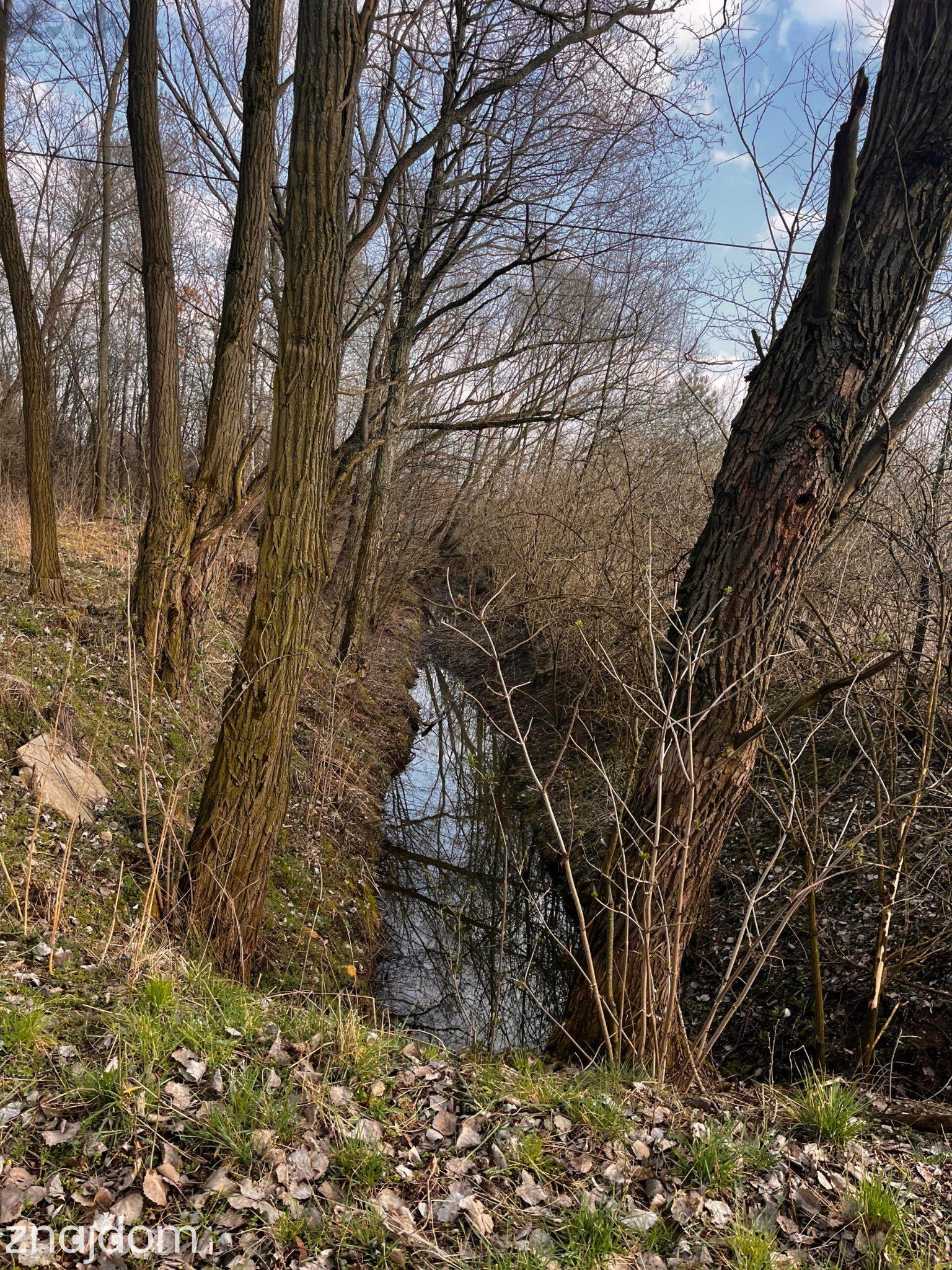 Teren inwestycyjny 4,26 ha MPZP -1PU ok.Mszczonów - zdjęcie 6