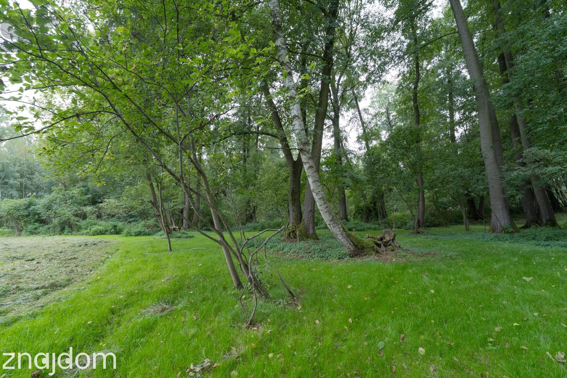 Prywatny park z możliwościa zabudowy/9400m/dostęp do rzeki Zwierzyniec - zdjęcie 10
