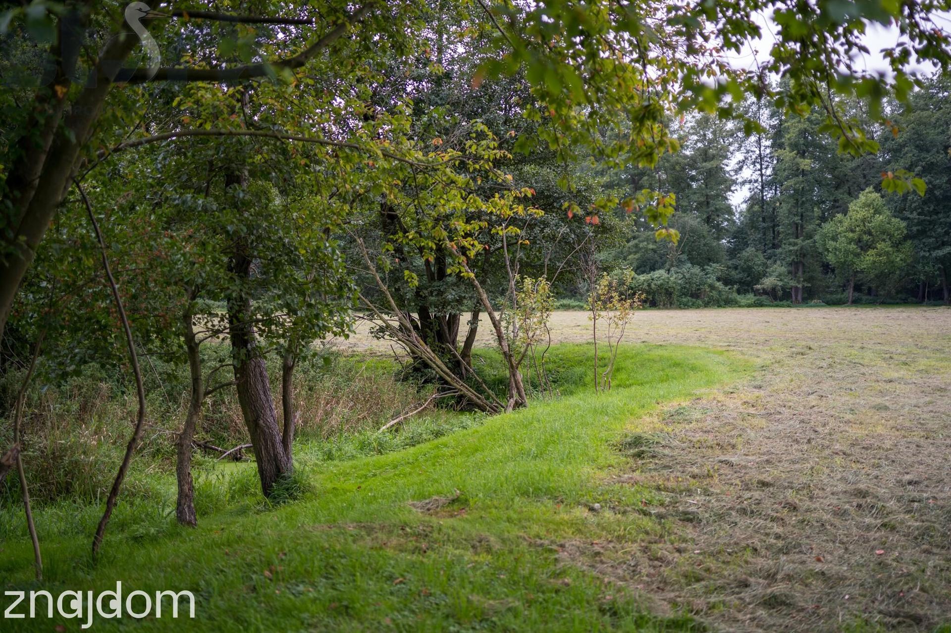 Prywatny park z możliwościa zabudowy/9400m/dostęp do rzeki Zwierzyniec - zdjęcie 14