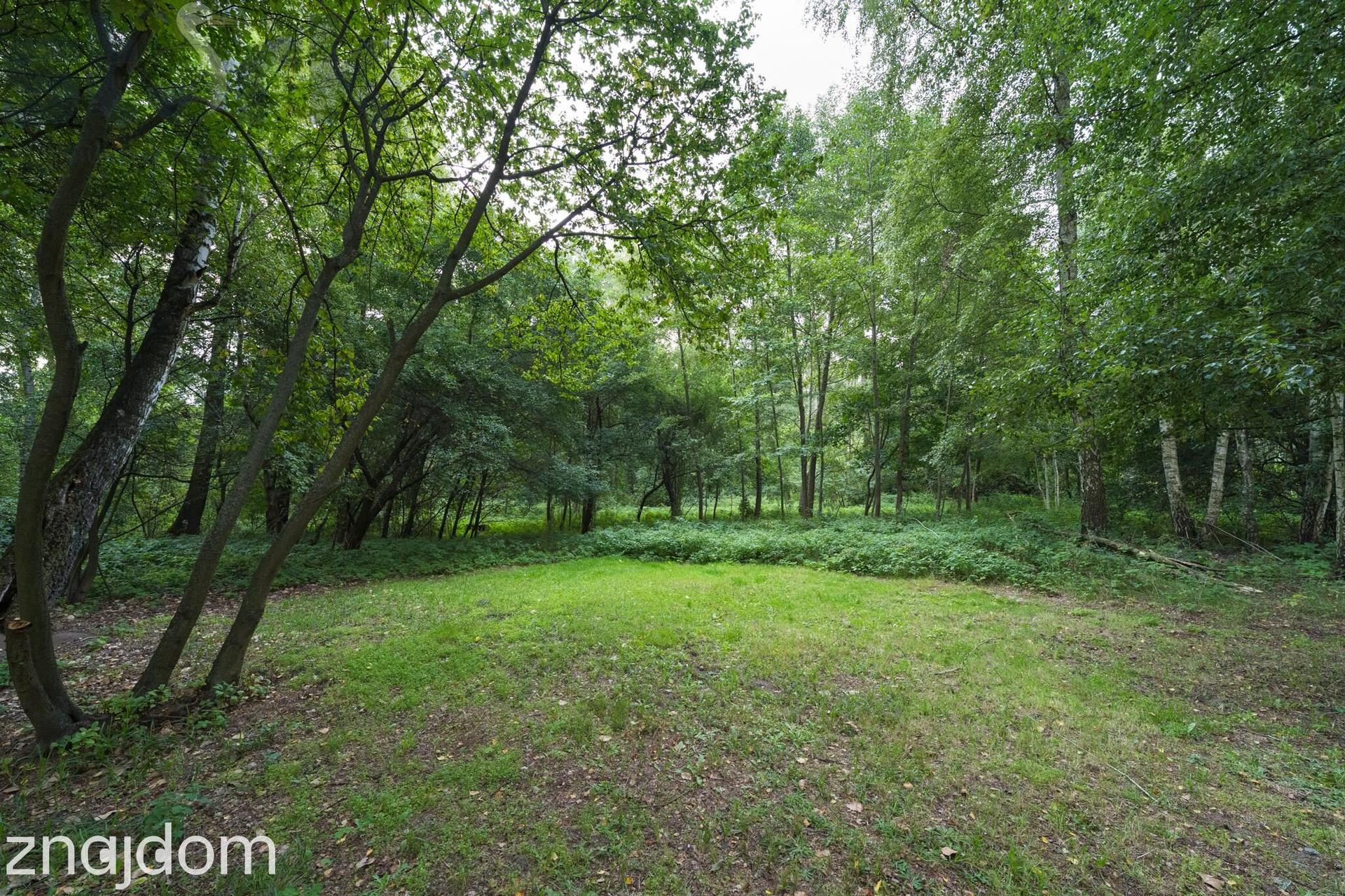 Prywatny park z możliwościa zabudowy/9400m/dostęp do rzeki Zwierzyniec - zdjęcie 4
