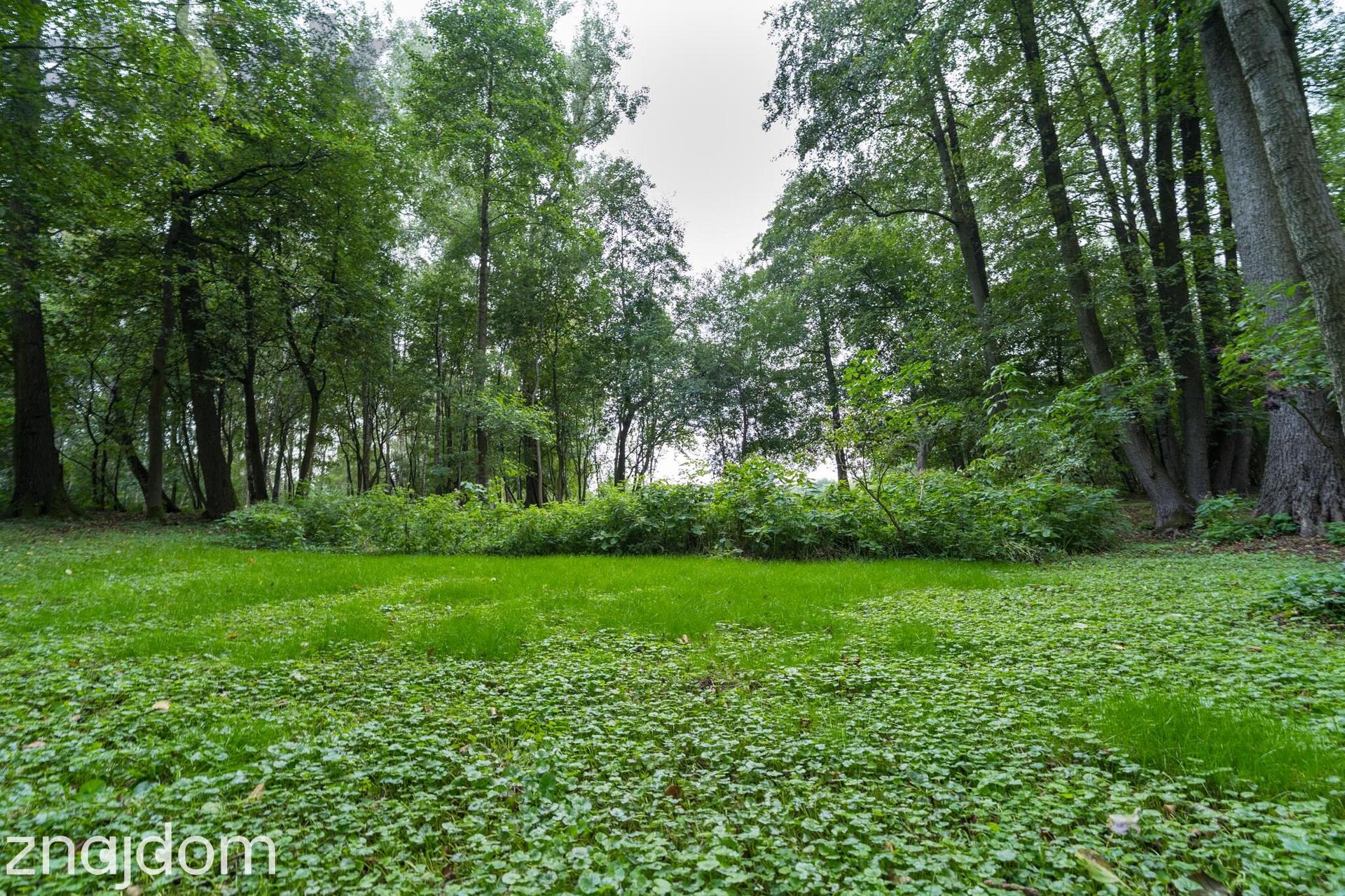 Prywatny park z możliwościa zabudowy/9400m/dostęp do rzeki Zwierzyniec - zdjęcie 6