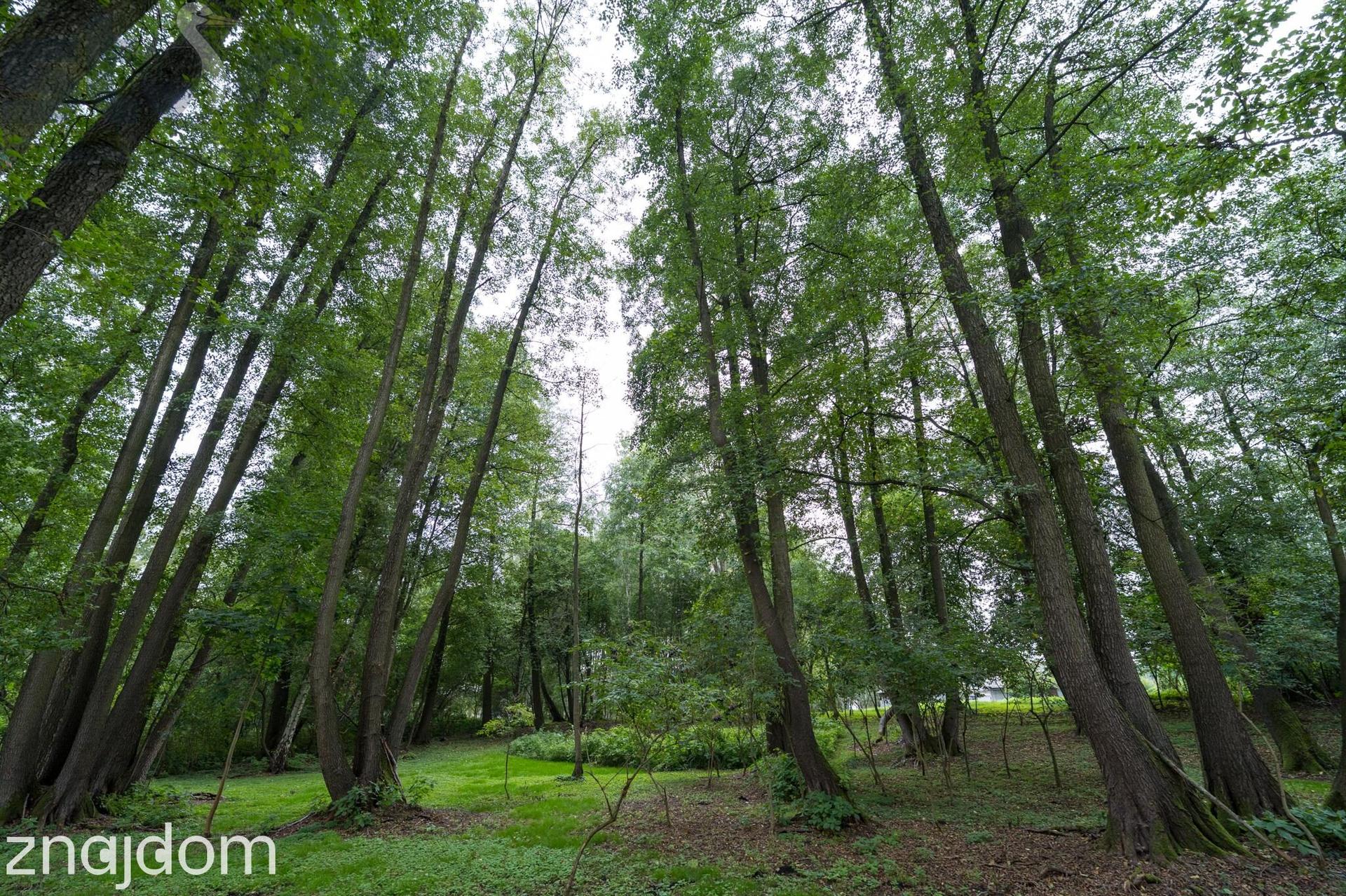 Prywatny park z możliwościa zabudowy/9400m/dostęp do rzeki Zwierzyniec - zdjęcie 8