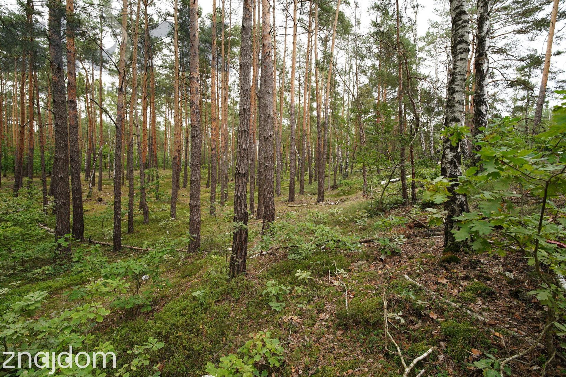 Działka budowlana na Wydmach 2221 m2 - bez prowizji Rezerwacja