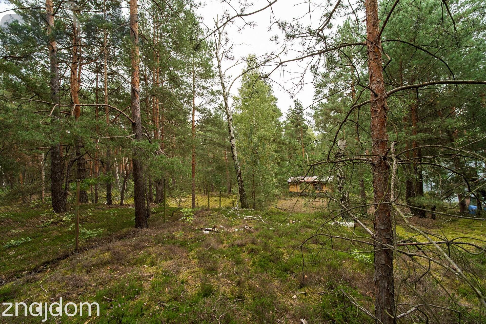 Działka budowlana na Wydmach 2221 m2 - bez prowizji Rezerwacja - zdjęcie 12