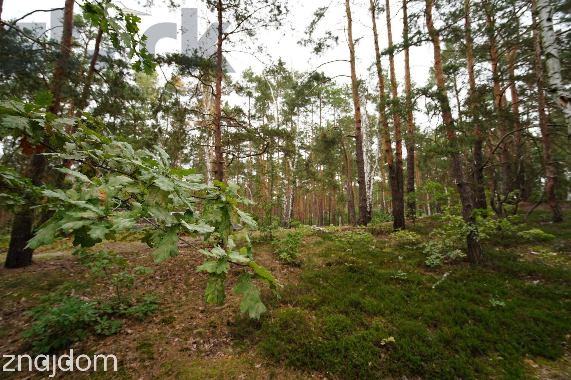 Działka budowlana na Wydmach 2221 m2 - bez prowizji Rezerwacja - zdjęcie 14