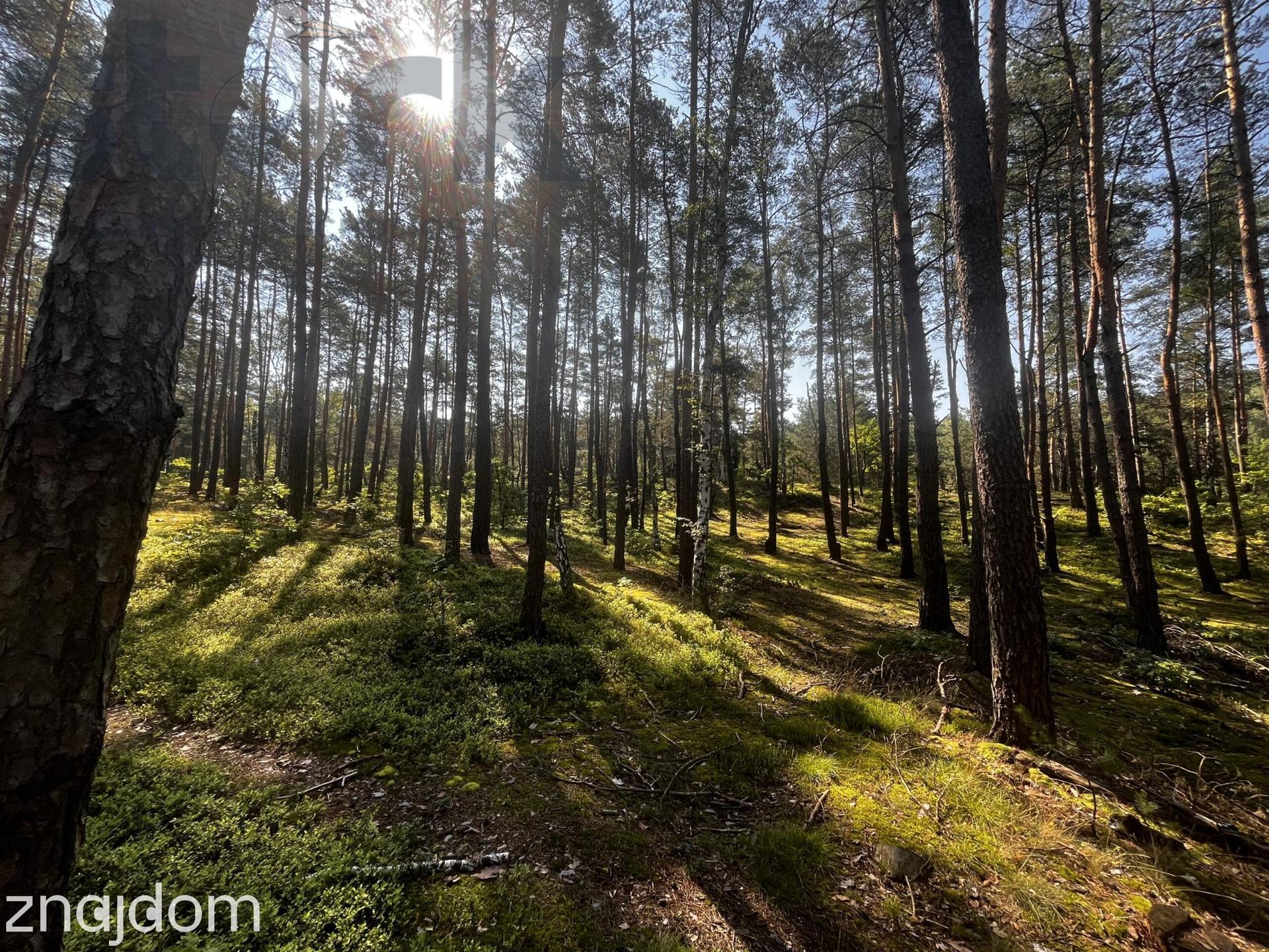 Działka budowlana na Wydmach 2221 m2 - bez prowizji