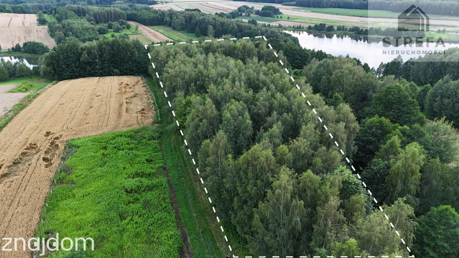 Działka 55,04 ara bezpośrednio przy Zalewie Skrzyszowskim – pod siedlisko lub biznes turystyczny