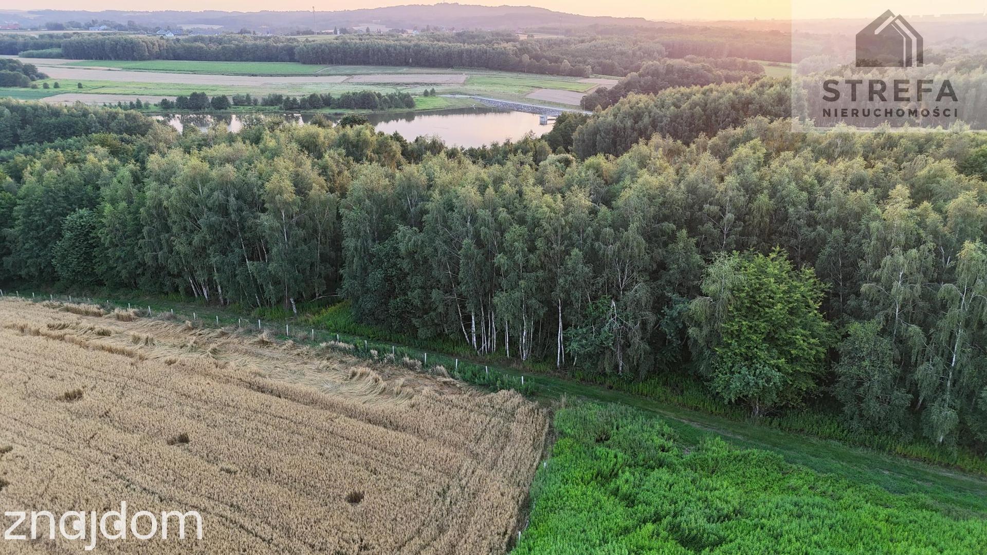 Działka 55,04 ara bezpośrednio przy Zalewie Skrzyszowskim – pod siedlisko lub biznes turystyczny - zdjęcie 2