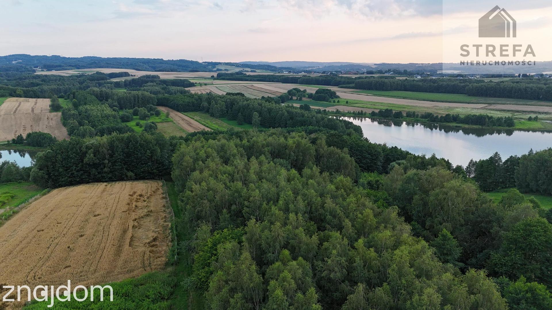 Działka 55,04 ara bezpośrednio przy Zalewie Skrzyszowskim – pod siedlisko lub biznes turystyczny - zdjęcie 3