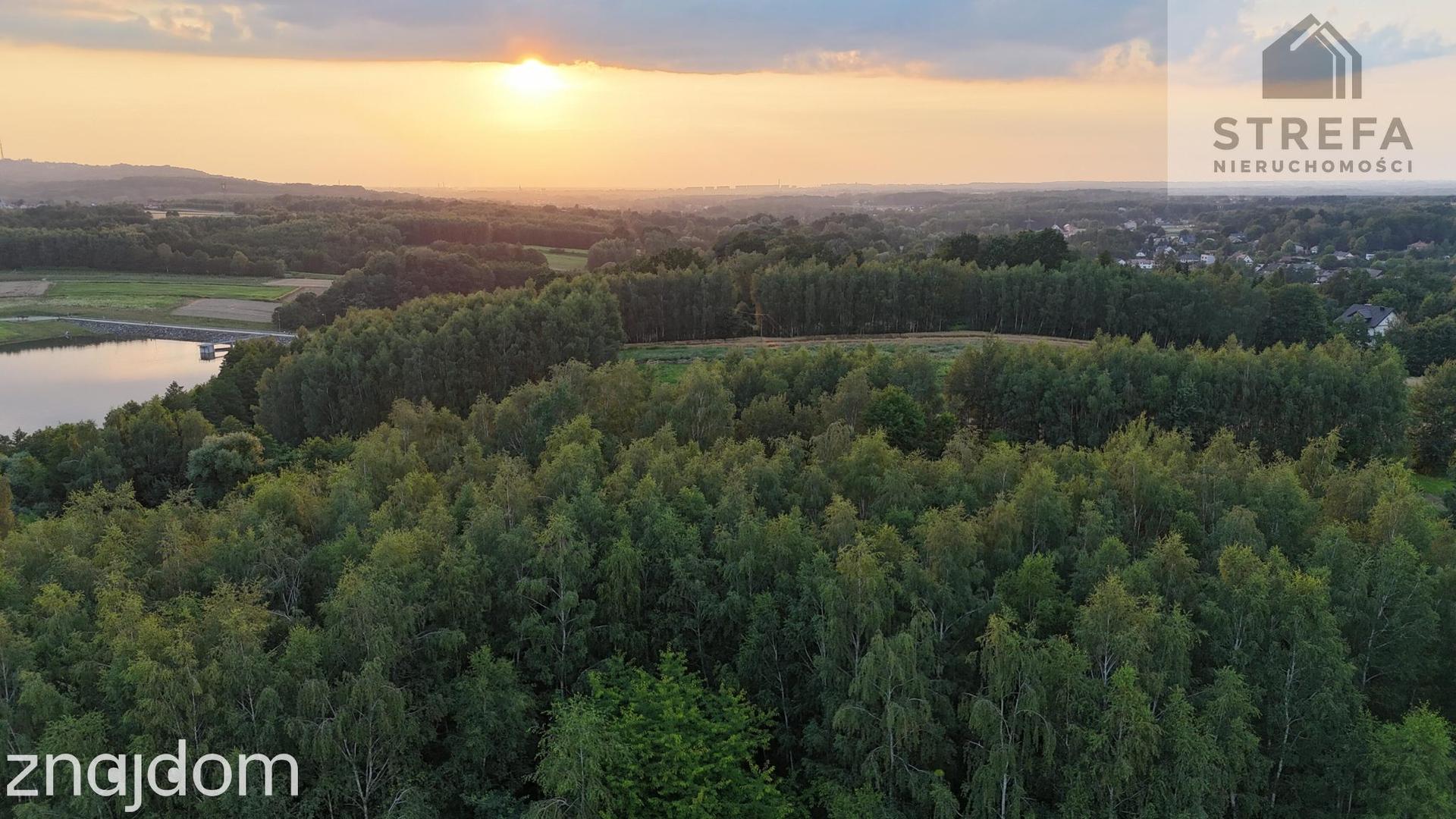 Działka 55,04 ara bezpośrednio przy Zalewie Skrzyszowskim – pod siedlisko lub biznes turystyczny - zdjęcie 5