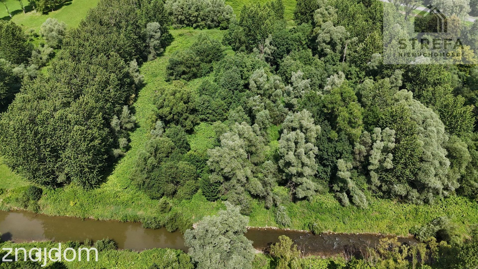 Działka rolna 1,64 ha w Chojniku nad rzeką Biała – wyjątkowa lokalizacja - zdjęcie 3