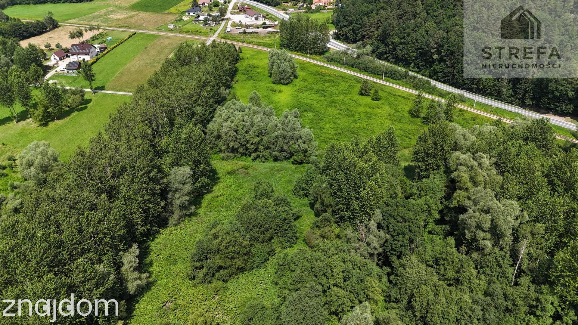 Działka rolna 1,64 ha w Chojniku nad rzeką Biała – wyjątkowa lokalizacja - zdjęcie 5