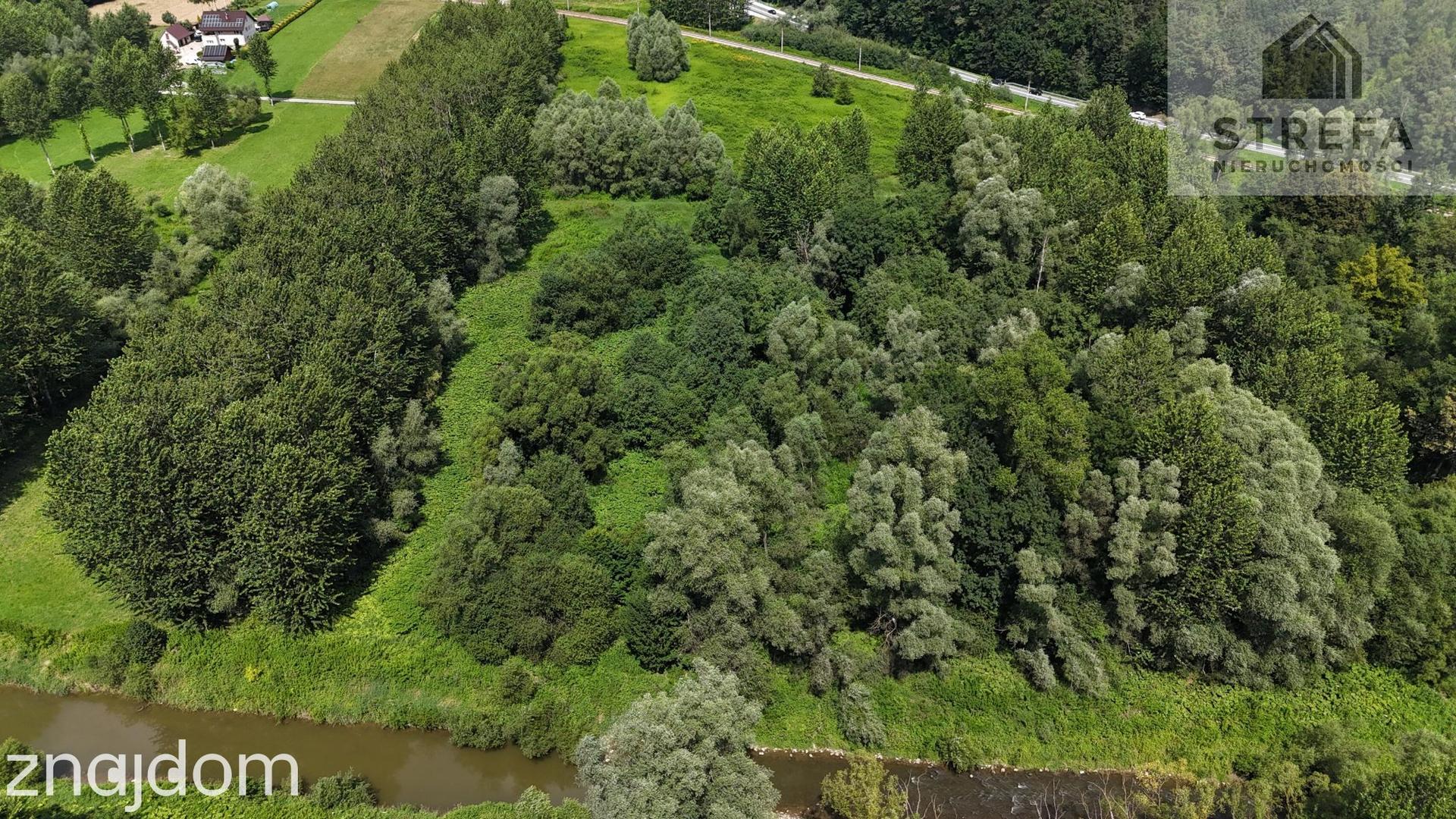 Działka rolna 1,64 ha w Chojniku nad rzeką Biała – wyjątkowa lokalizacja - zdjęcie 6