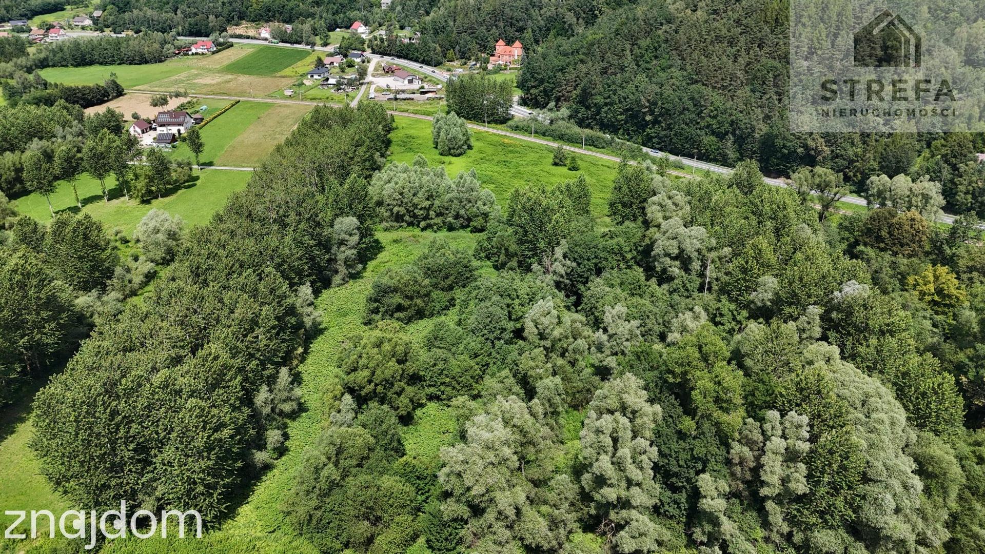 Działka rolna 1,64 ha w Chojniku nad rzeką Biała – wyjątkowa lokalizacja - zdjęcie 7