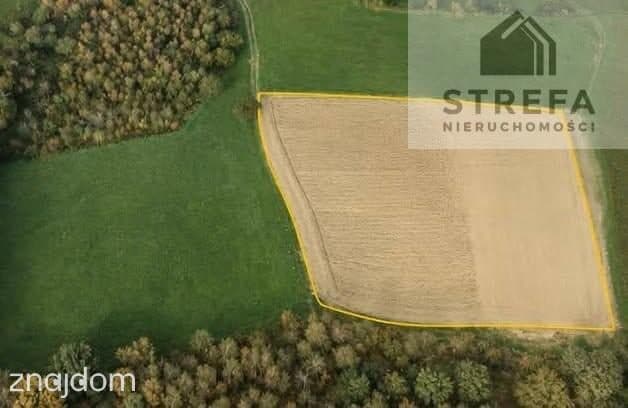 Działka rolna 0,39 ha w Chojniku przy lesie Na sprzedaż działka rolna o powierzchni 0,39 ha