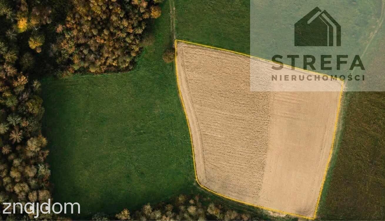 Działka rolna 0,39 ha w Chojniku przy lesie Na sprzedaż działka rolna o powierzchni 0,39 ha - zdjęcie 2