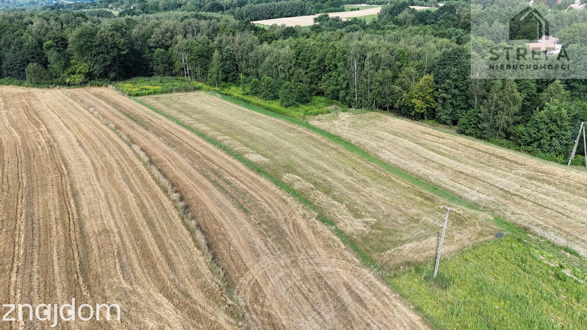 Duża działka budowlano-zagrodowa (37,75 ara) – Poręba Radlna k. Tarnowa - zdjęcie 2