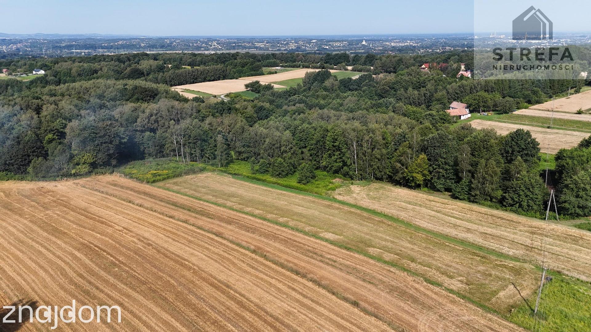 Duża działka budowlano-zagrodowa (37,75 ara) – Poręba Radlna k. Tarnowa - zdjęcie 4