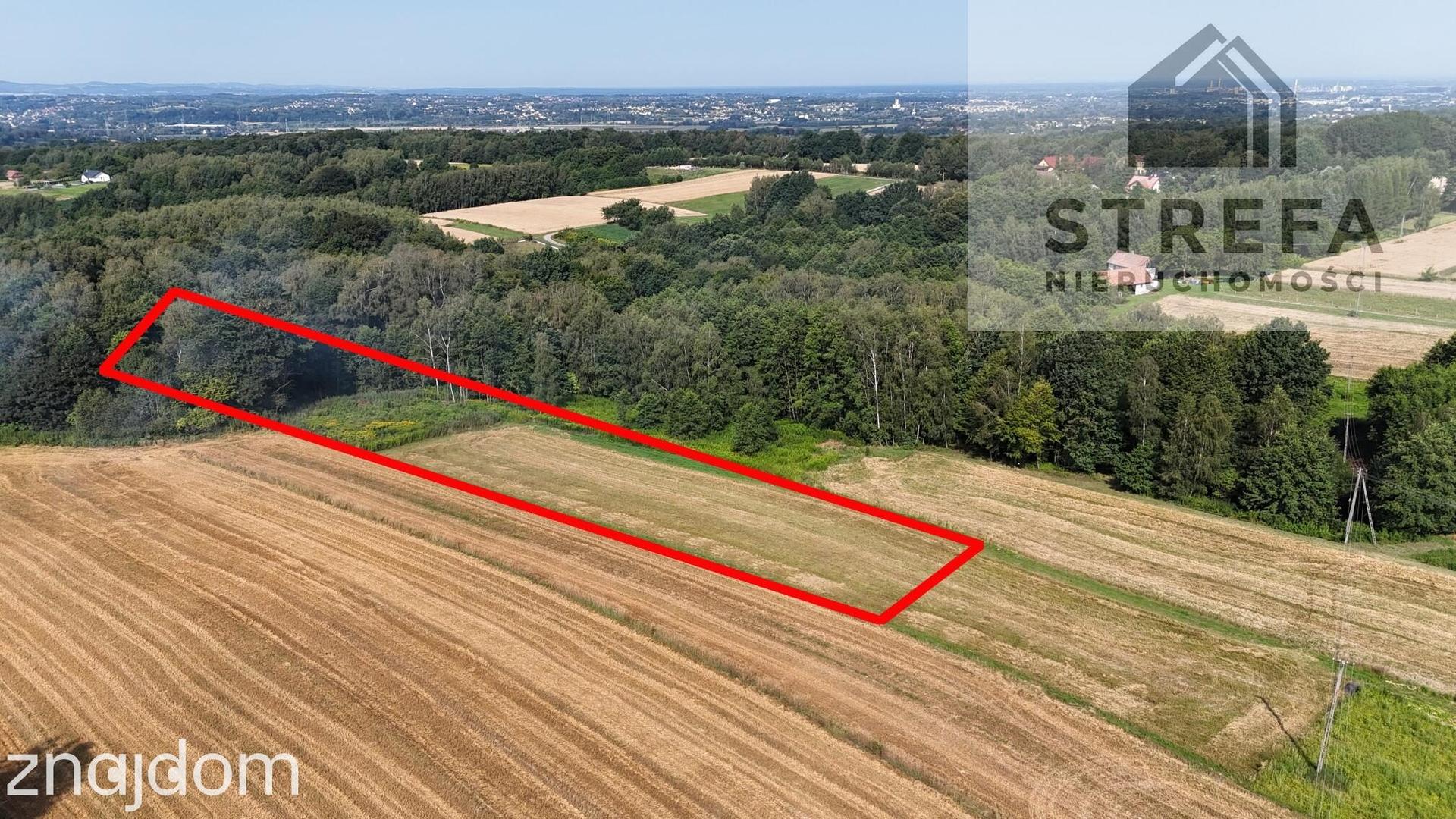 Malownicza działka zagrodowa z prywatnym lasem (30,48 ara) – Poręba Radlna pod Tarnowem