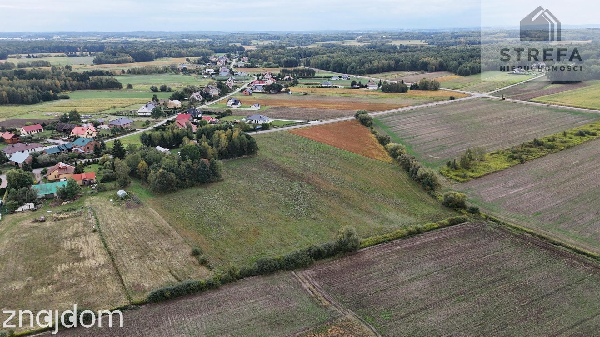 🏡 Działka budowlana 15,51a | Cicha okolica | Szybki dojazd do miast! Wielopole - zdjęcie 4