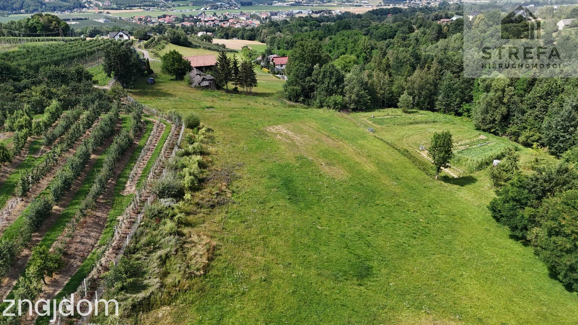 Wyjątkowa działka rolna z możliwością zabudowy zagrodowej, -2,2263 ha, Bilsko gmina Łososina Dolna - zdjęcie 5
