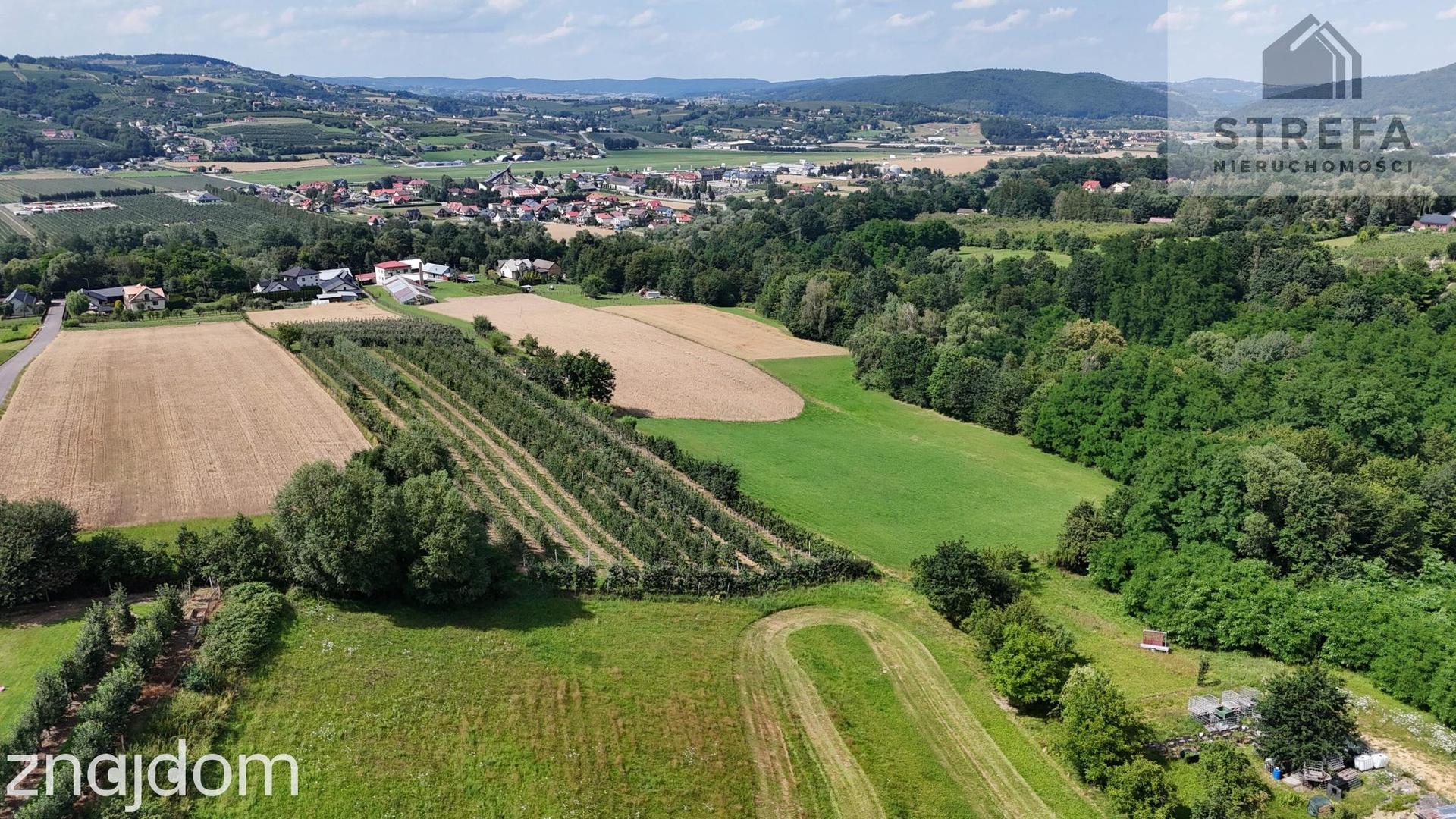 Wyjątkowa działka rolna z możliwością zabudowy zagrodowej, -2,2263 ha, Bilsko gmina Łososina Dolna - zdjęcie 7